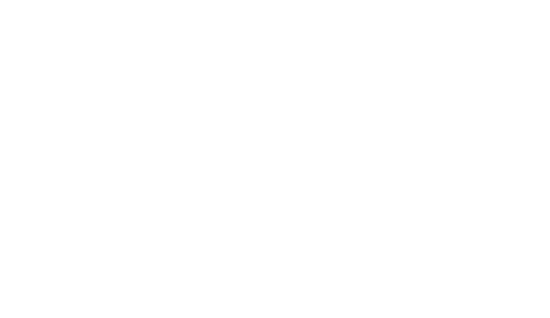 Viral Mind